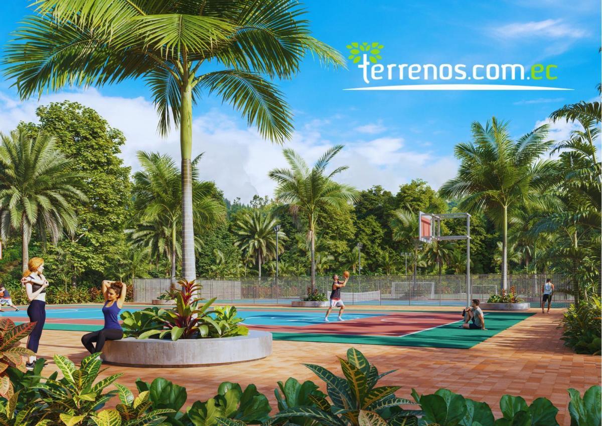 Terrenos en Venta Desde 800 m², Urbanización Surú, Puerto Quito — imagen 7
