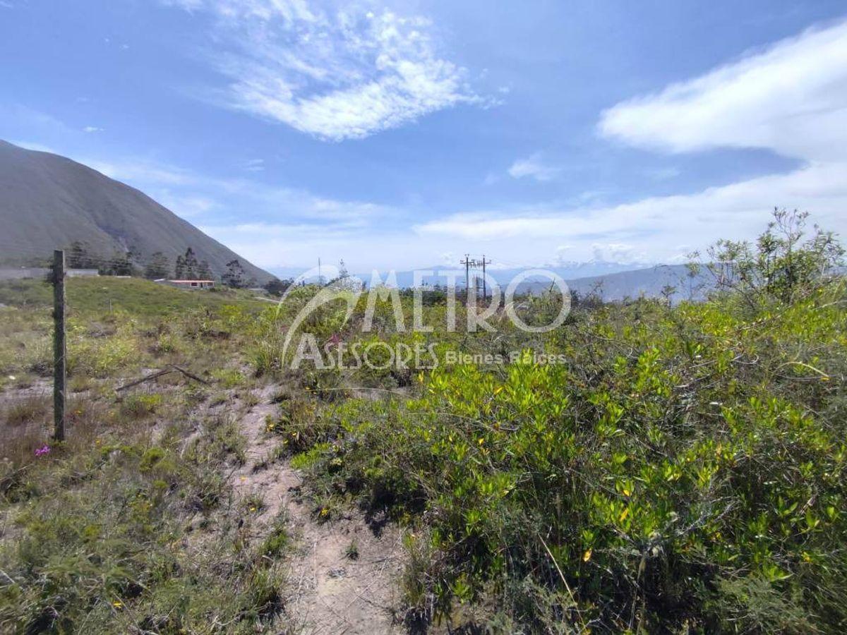 Terreno en Venta de 490 m² – San Antonio — imagen 8