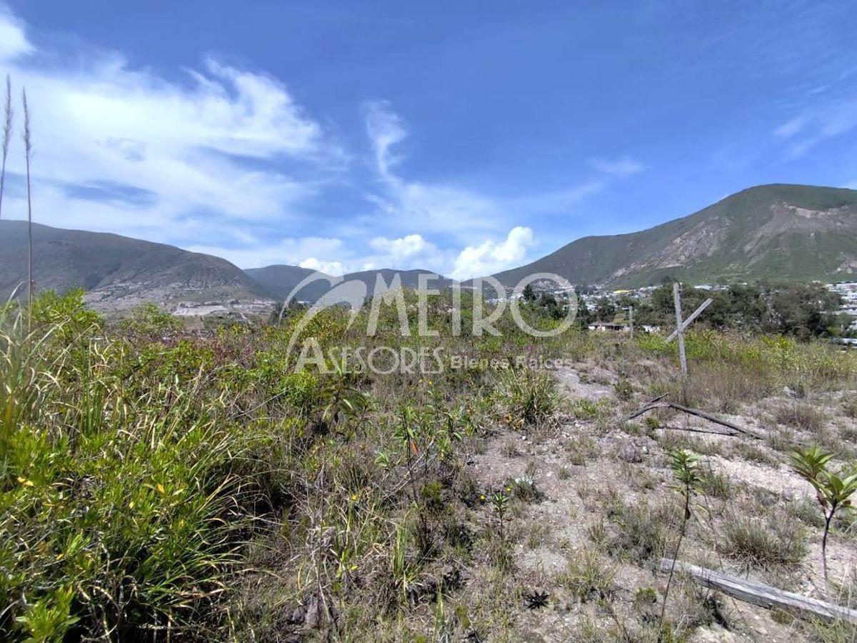 Terreno en Venta de 490 m² – San Antonio — imagen 7
