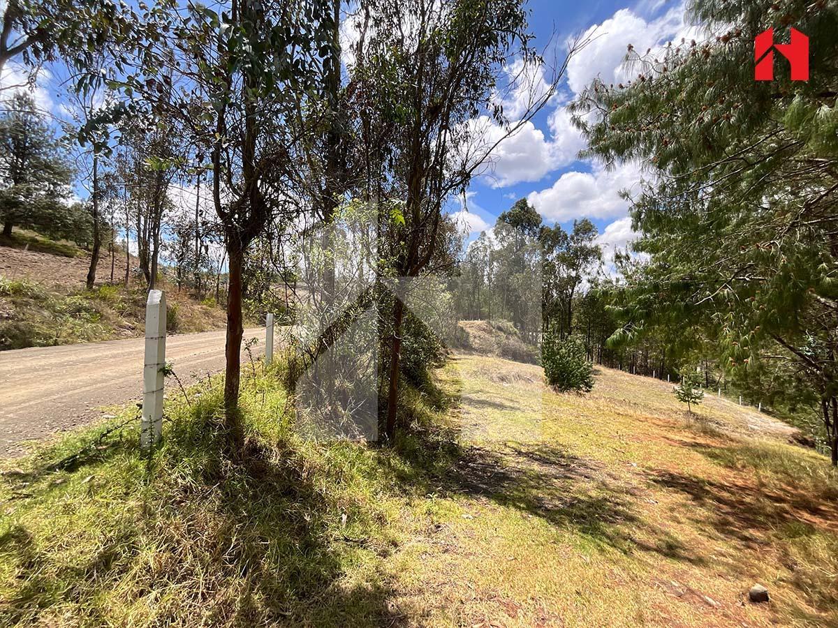 Vendo Terreno en Cuenca Sector Bajo Alto – Puicai (St3657), Azuay — imagen 10