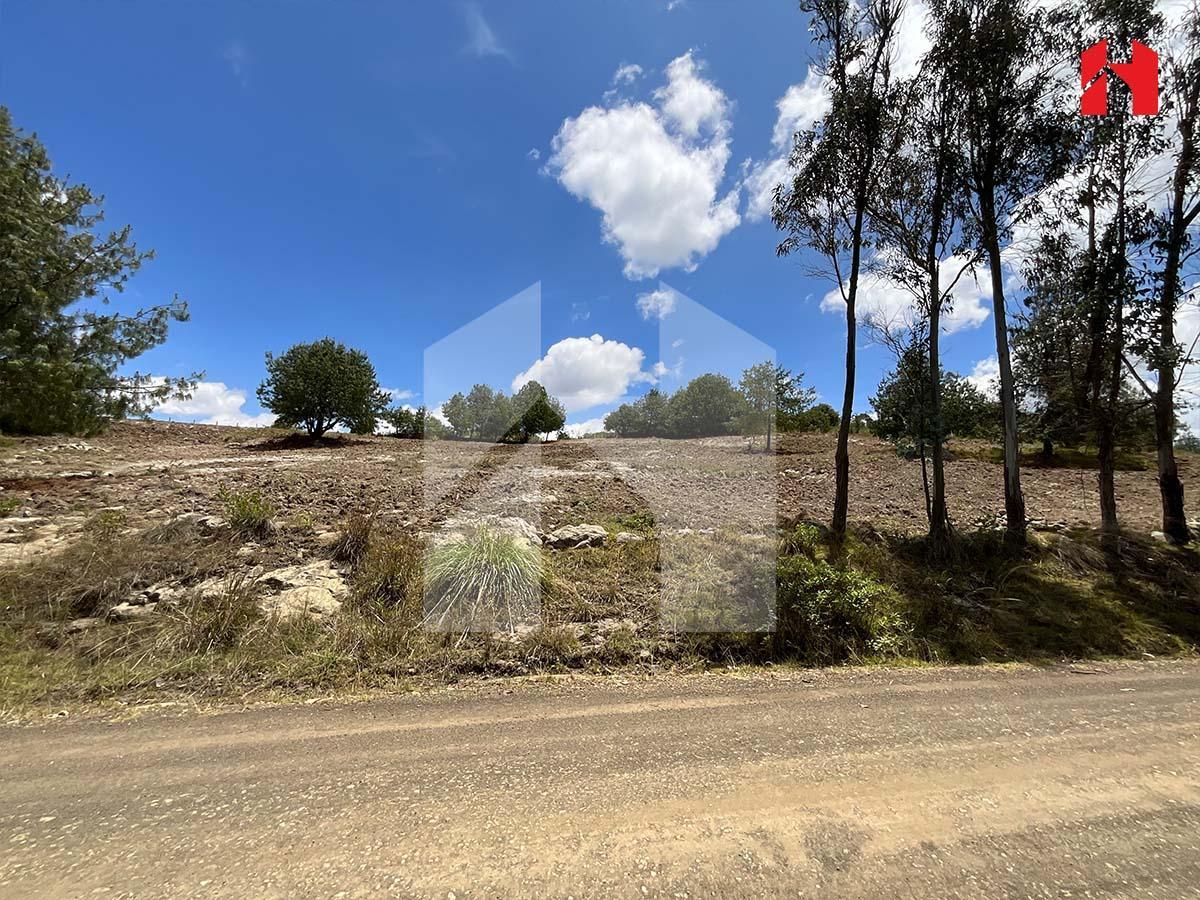 Vendo Terreno en Cuenca Sector Bajo Alto – Puicai (St3657), Azuay — imagen 9