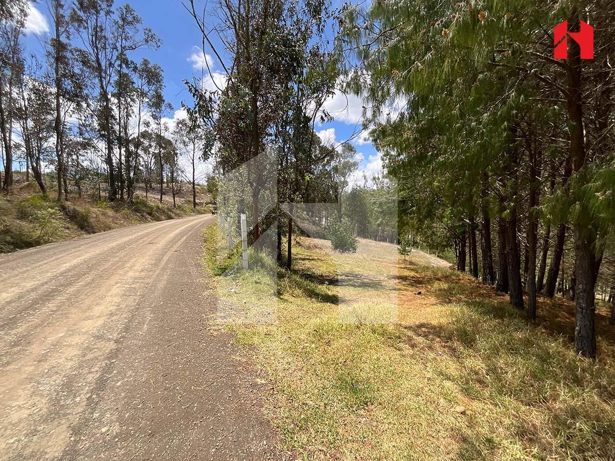 Vendo Terreno en Cuenca Sector Bajo Alto – Puicai (St3657), Azuay — imagen 8