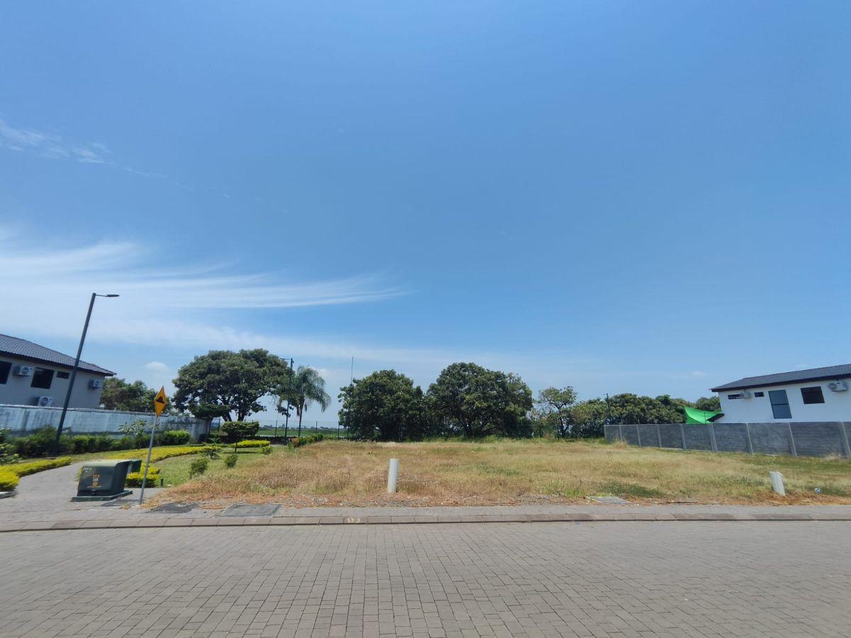 Venta Terreno Esquinero Isla Celeste Etapa Babor Samborondon - Y. Vásquez, Guayas — imagen 6