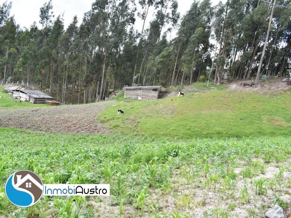 El Valle, Venta de Casa con Amplio Terreno de 1.918 m², Azuay — imagen 3