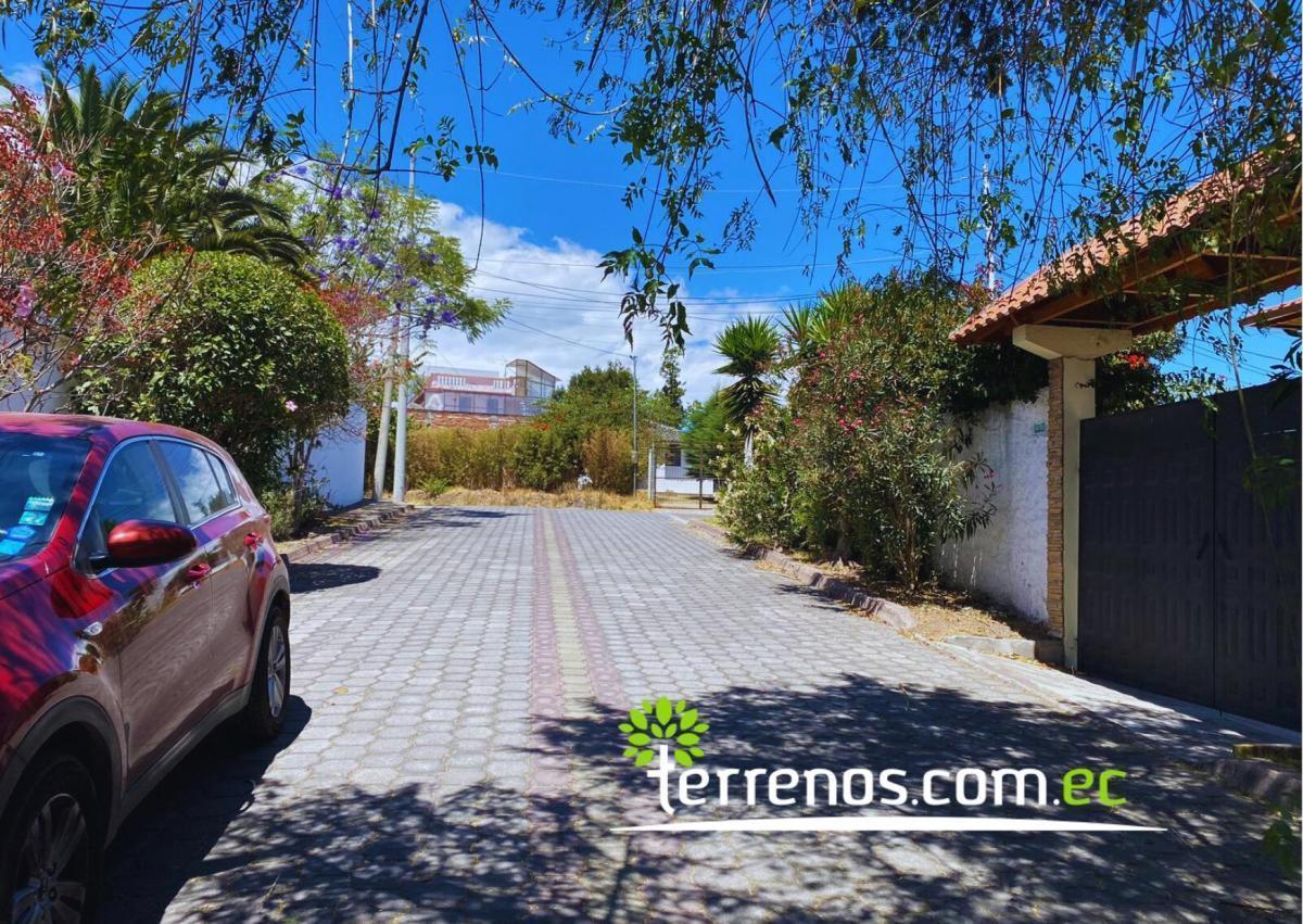 Terreno Independiente de Venta en Tumbaco 6,194.27 m², Sector Tola Grande — imagen 8