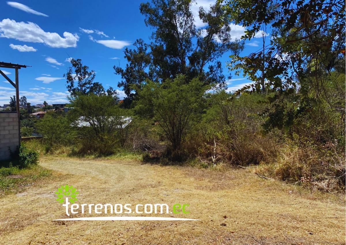 Terreno Independiente de Venta en Tumbaco 6,194.27 m², Sector Tola Grande — imagen 7