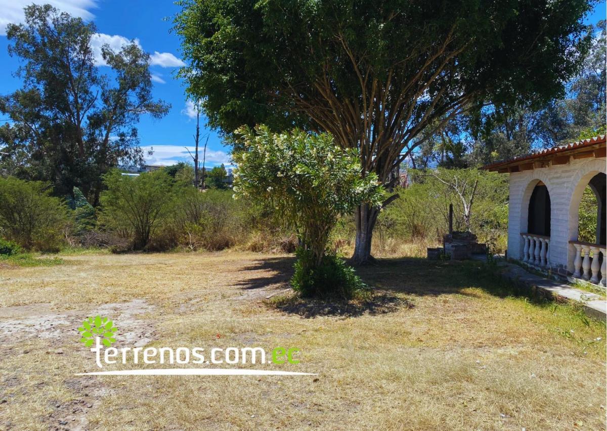 Terreno Independiente de Venta en Tumbaco 6,194.27 m², Sector Tola Grande — imagen 6