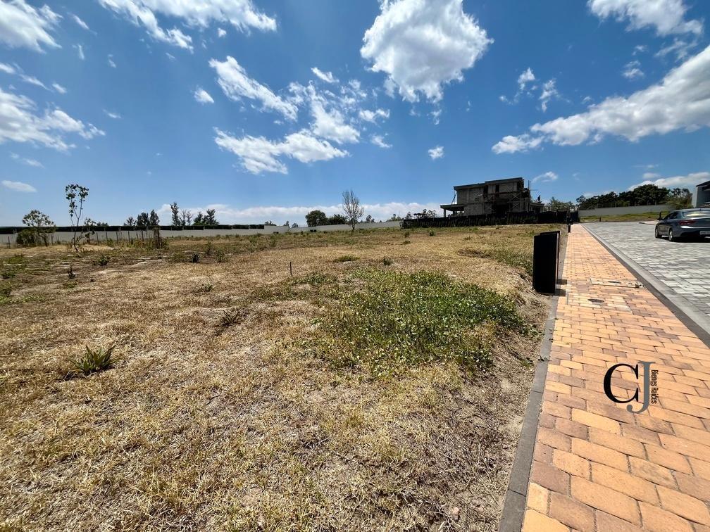 Puembo Venta Terreno, Urbanización Exclusiva — imagen 8