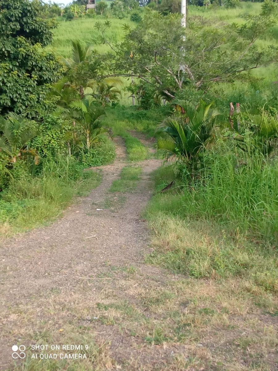 Venta Terreno de 4.600 m² Via Al Pan - Yaguachi, Guayas — imagen 2