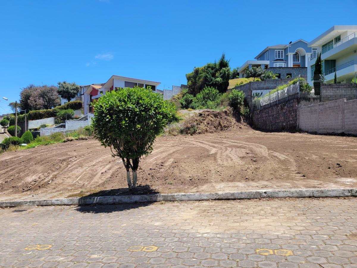 Terreno en Venta, Urb. San Ignacio de Cashapamba — imagen 8