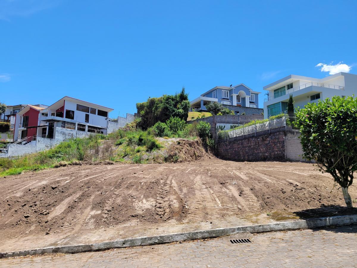 Terreno en Venta, Urb. San Ignacio de Cashapamba — imagen 7