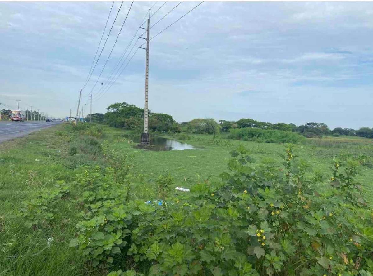 Venta 15 Has Vía a Salitre, Km. 10.5, Frente 275 m. Uso Comercial - Habitacional, Guayas — imagen 2