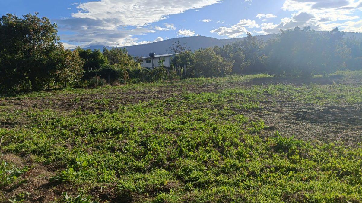 Terreno de 1751 m² en Venta en Guayllabamba — imagen 8