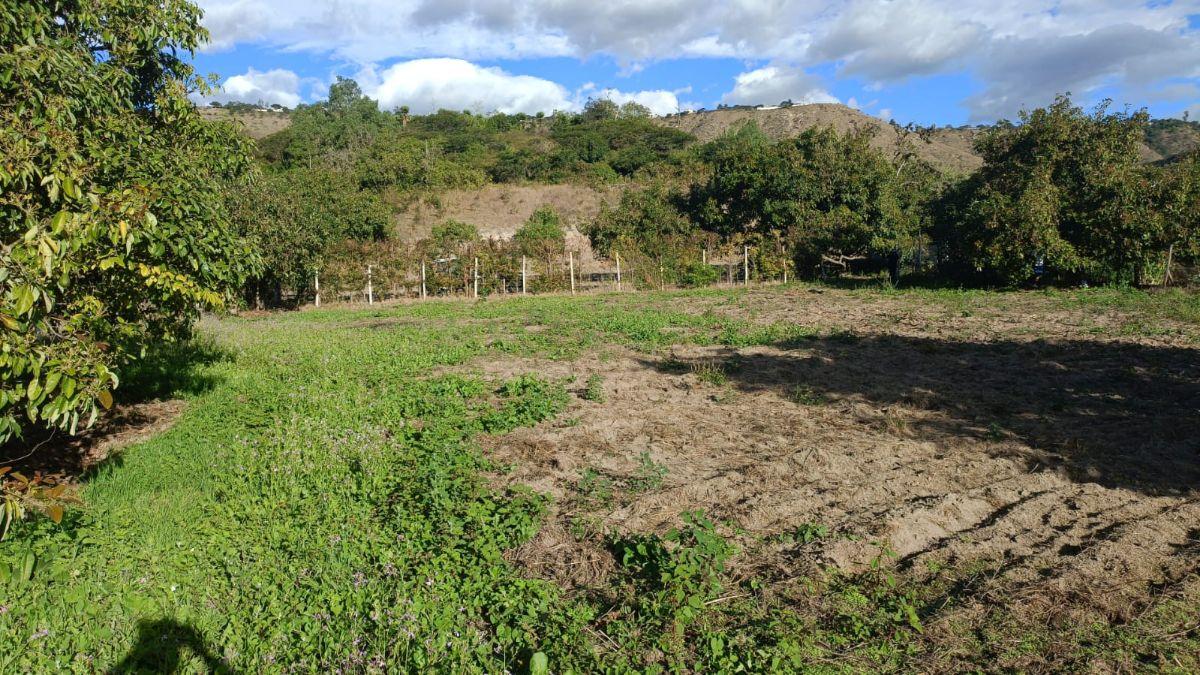 Terreno de 1751 m² en Venta en Guayllabamba — imagen 7