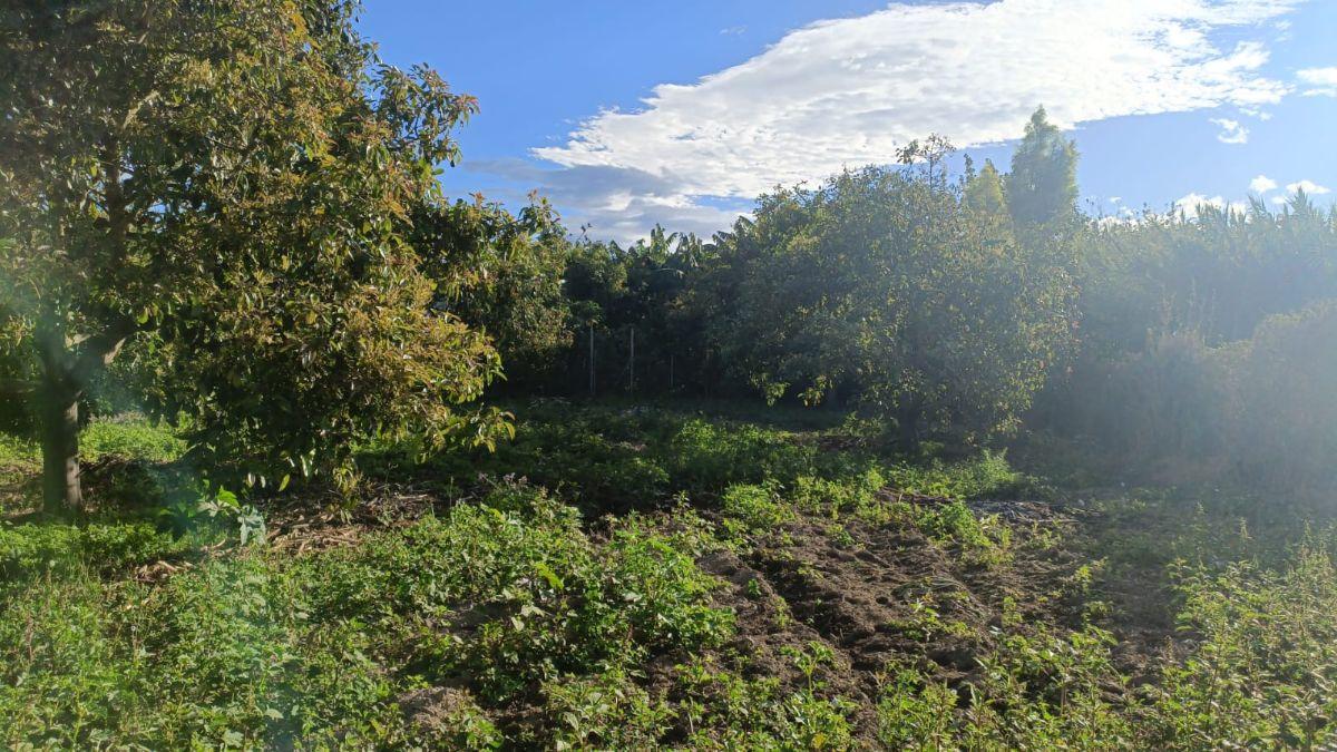 Terreno de 1751 m² en Venta en Guayllabamba — imagen 6