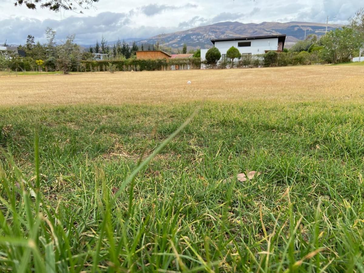 Vendo Terreno en Tabacundo - Urbanización — imagen 9