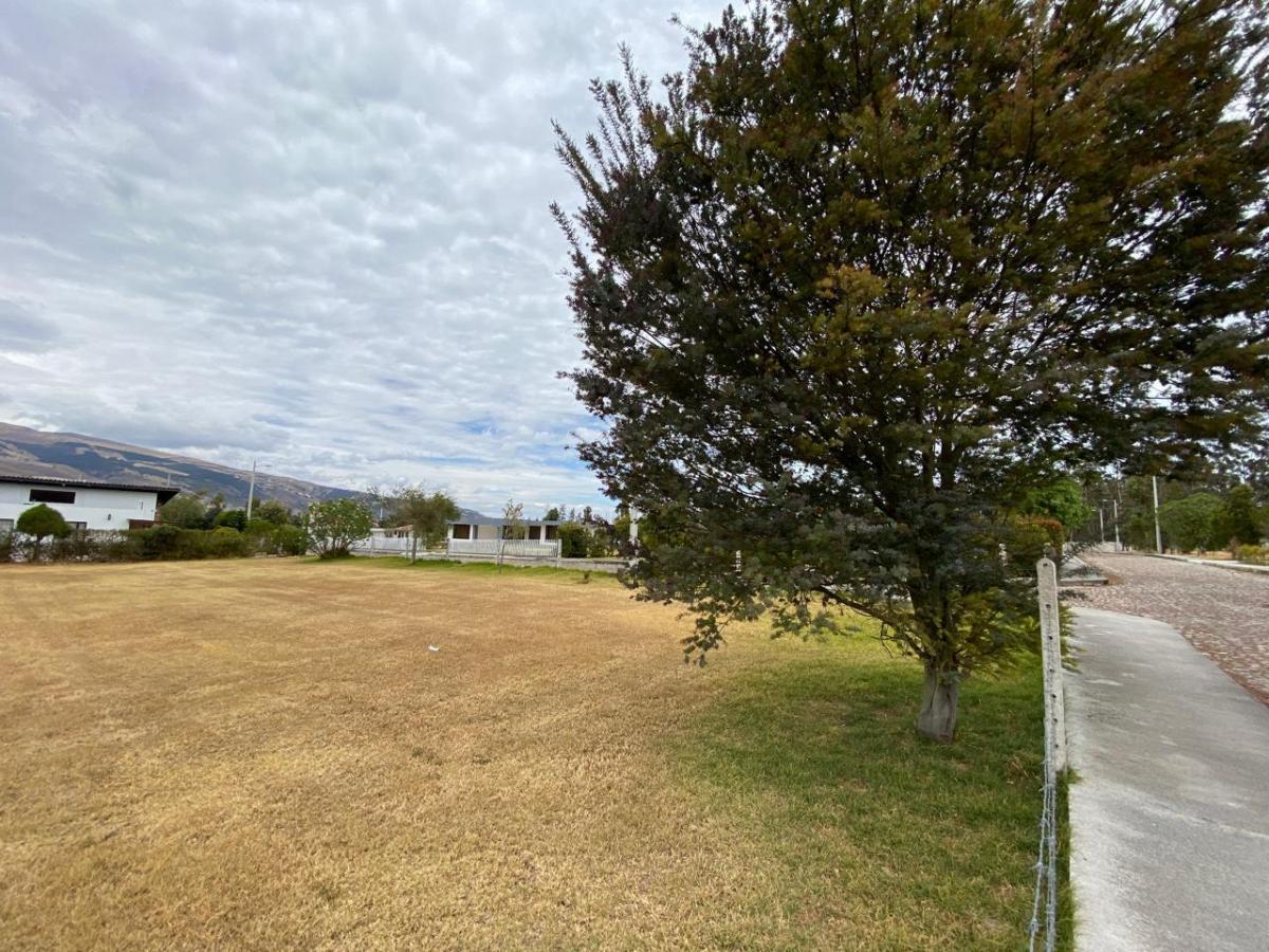 Vendo Terreno en Tabacundo - Urbanización — imagen 8