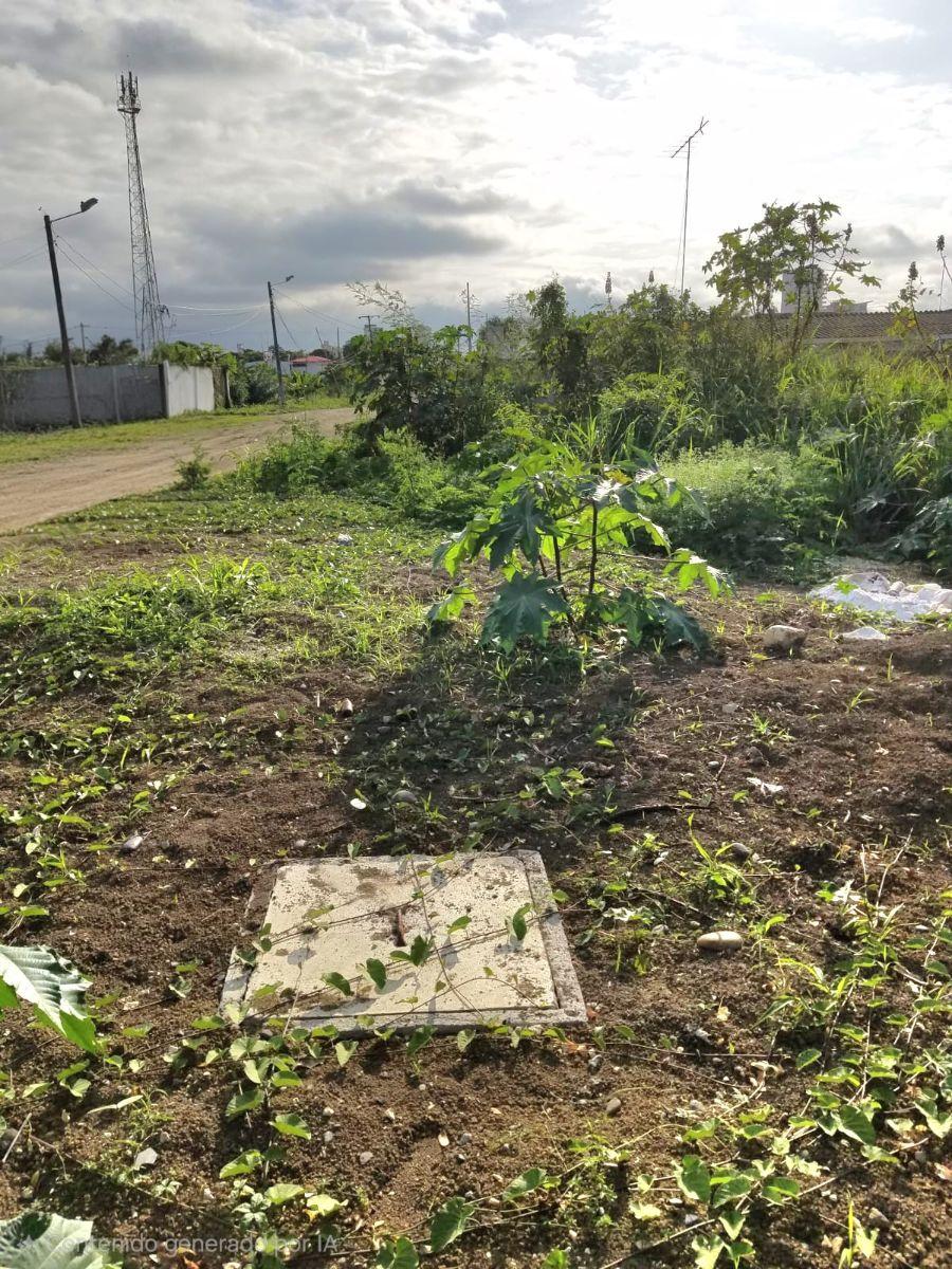 Se Vende Terreno en Tonsupa, Atacames — imagen 7