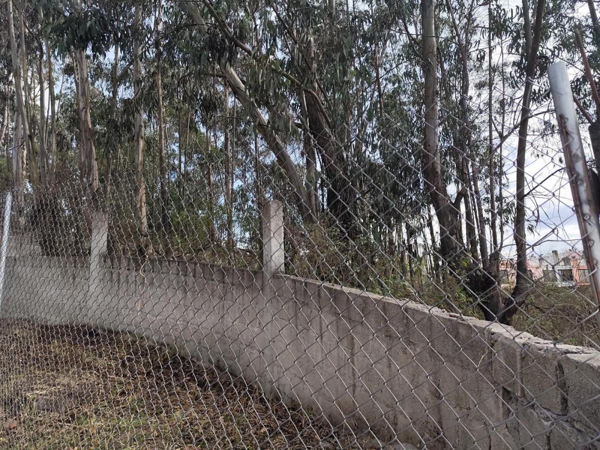 Terreno de Venta de 719 m² - en Urbanización Ideal Para Proyecto Inmobiliario 5 Pisos — imagen 3