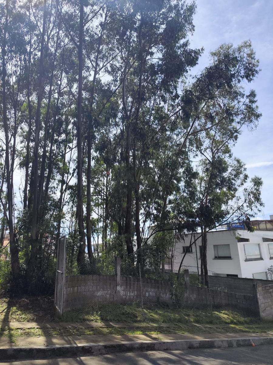 Terreno de Venta de 719 m² - en Urbanización Ideal Para Proyecto Inmobiliario 5 Pisos — imagen 2