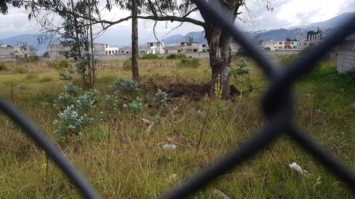 Vendo Terreno Plano, Super Oferta! Ideal Vivienda Vip o Vis - Sector Calderón — imagen 10