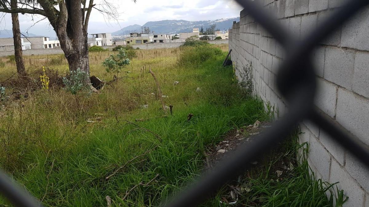 Vendo Terreno Plano, Super Oferta! Ideal Vivienda Vip o Vis - Sector Calderón — imagen 9