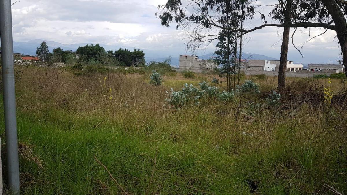 Vendo Terreno Plano, Super Oferta! Ideal Vivienda Vip o Vis - Sector Calderón — imagen 8