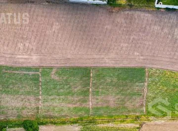 Venta de Terreno Sector Puembo - Cerca Club Los Arrayanes — imagen 4