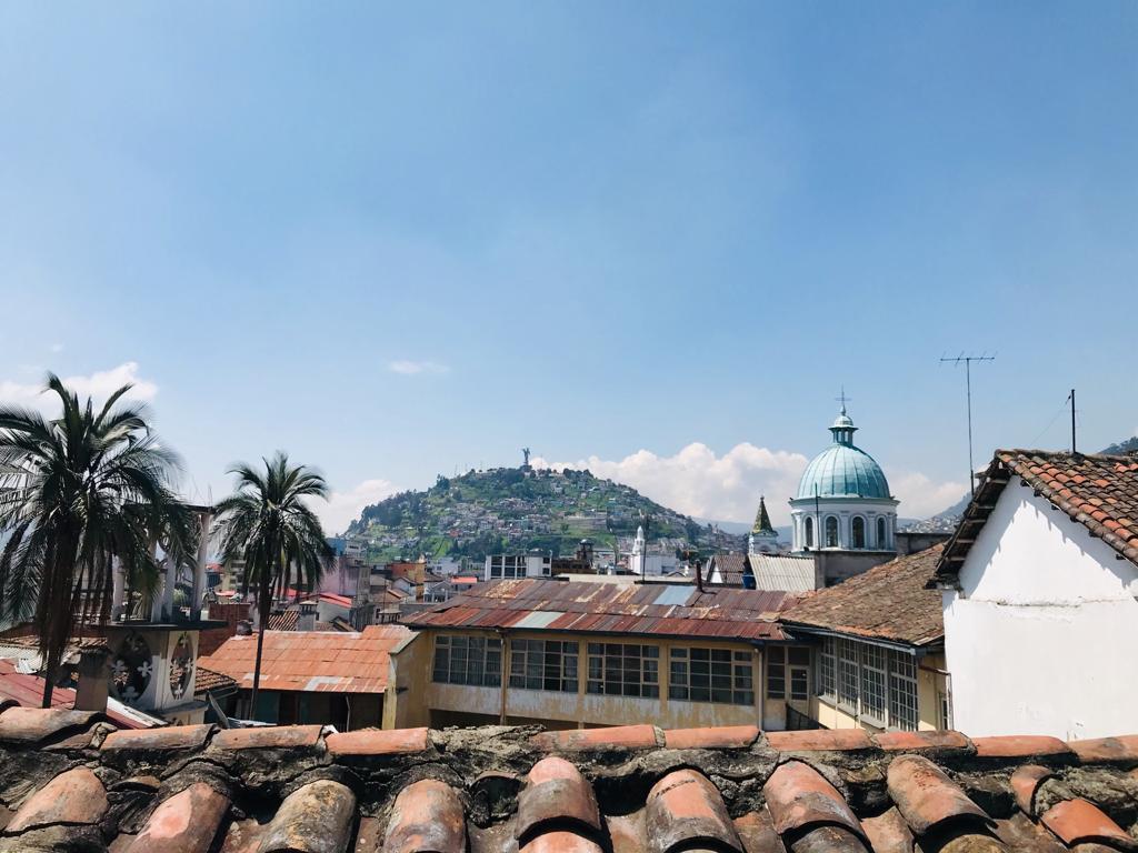 Venta Propiedad Centro Histórico por Remodelar 1.042 m² — imagen 10