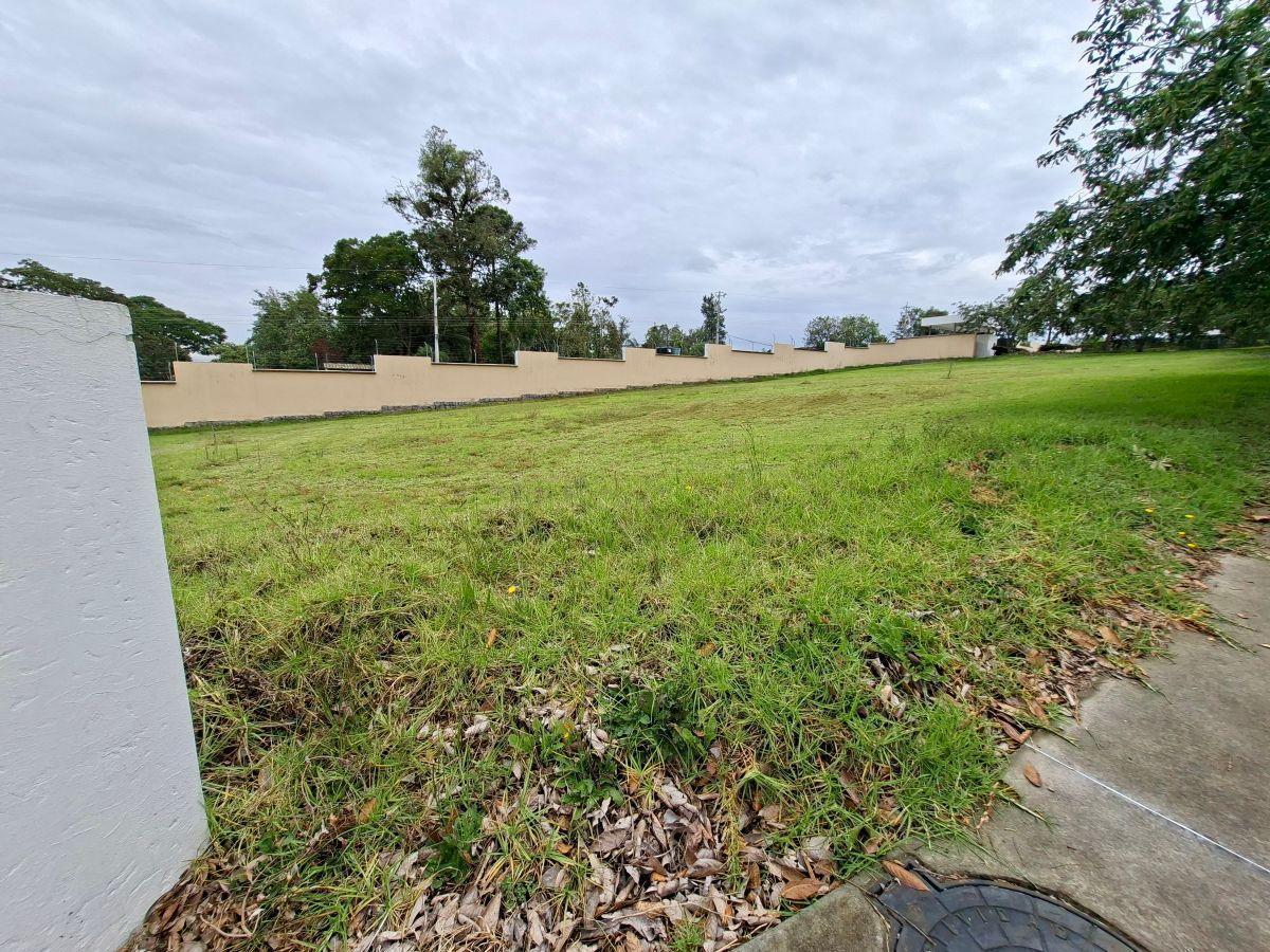 Vendo Espectacular Terreno en Urbanización de 24 Lotes en Puembo — imagen 8