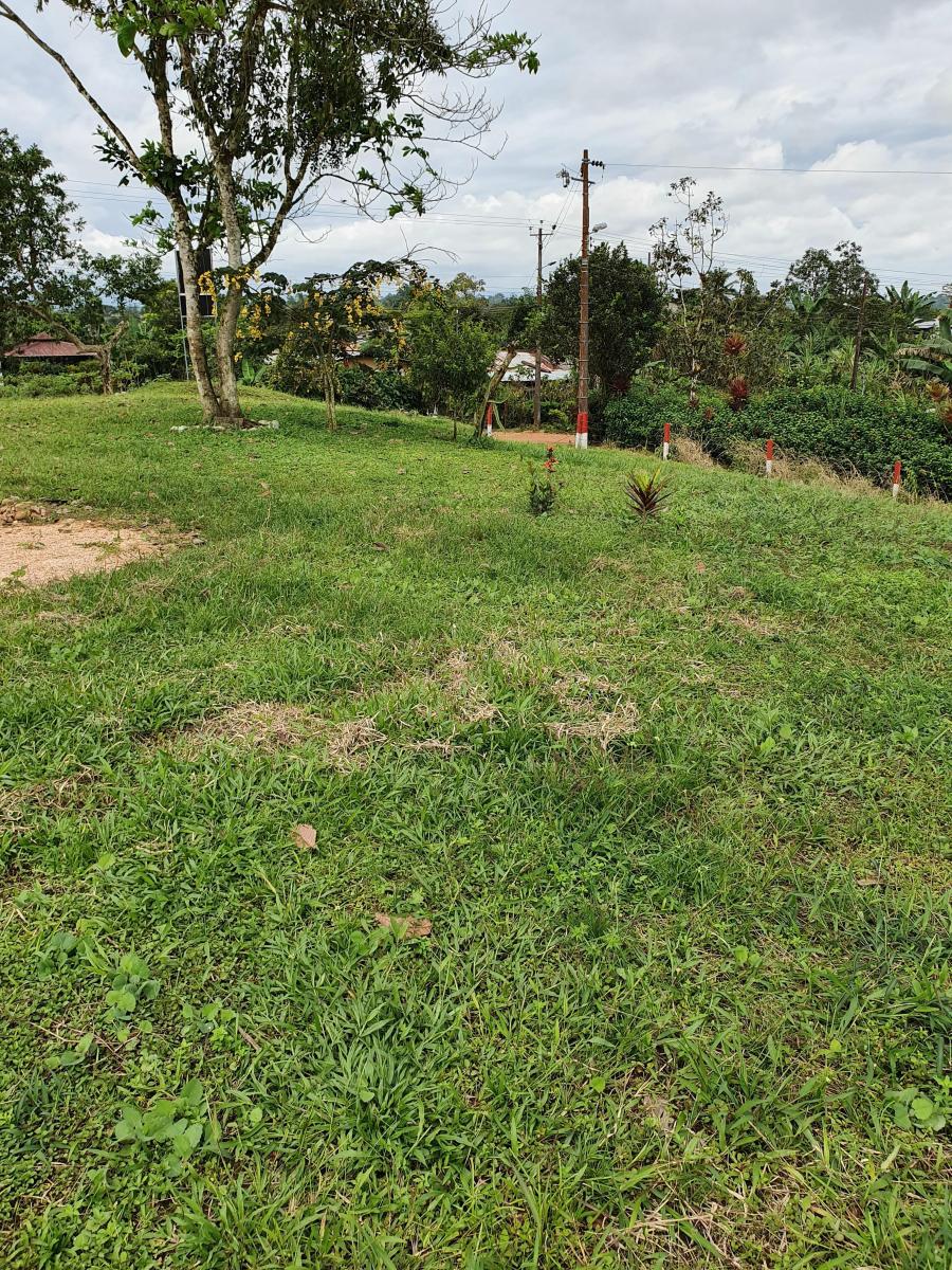 Lindo Lote de Terreno 346 m² Pedro Vicente Maldonado con Salida a 2 Calles. Provincia de Pichincha — imagen 9