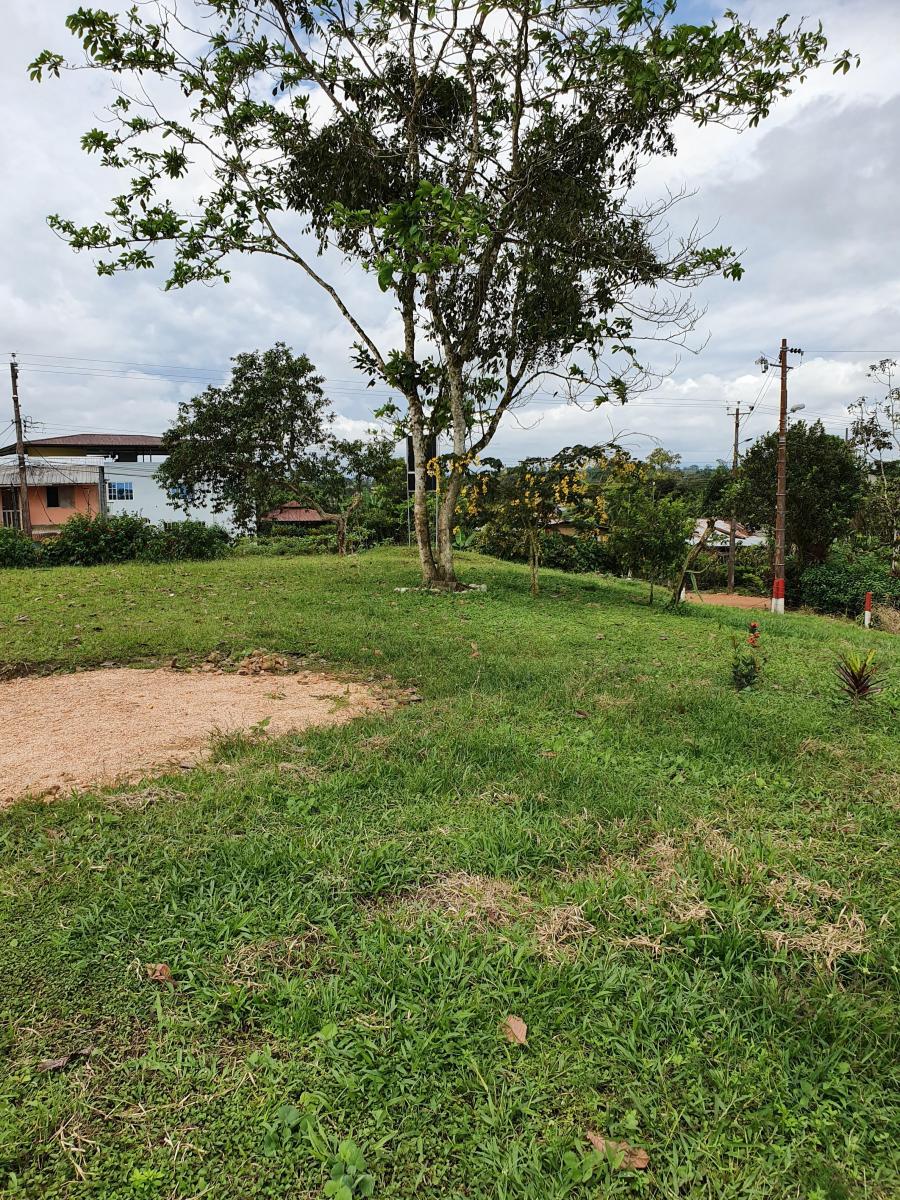 Lindo Lote de Terreno 346 m² Pedro Vicente Maldonado con Salida a 2 Calles. Provincia de Pichincha — imagen 6