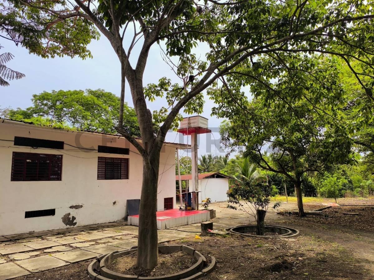 Terreno en Venta en El Sector El Limon de Picoaza - Portoviejo, Manabí — imagen 8