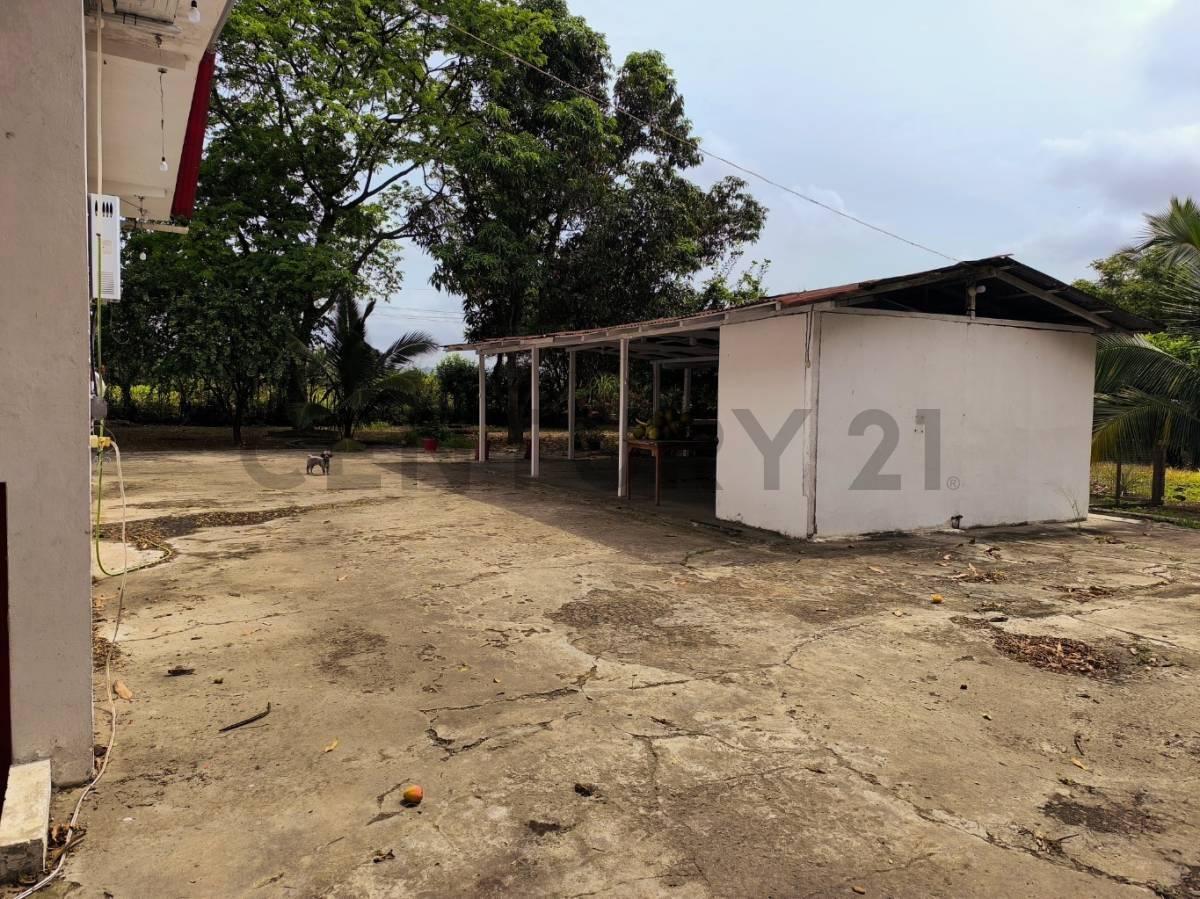 Terreno en Venta en El Sector El Limon de Picoaza - Portoviejo, Manabí — imagen 7