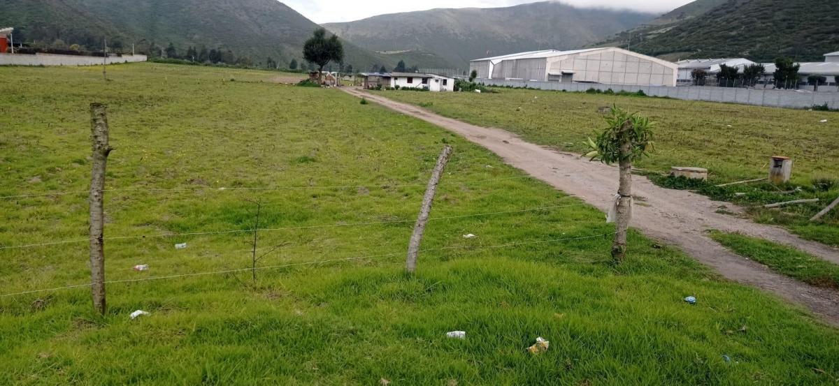 Hermoso Terreno en Venta Totalmente Plano en Calacali Industrial — imagen 5