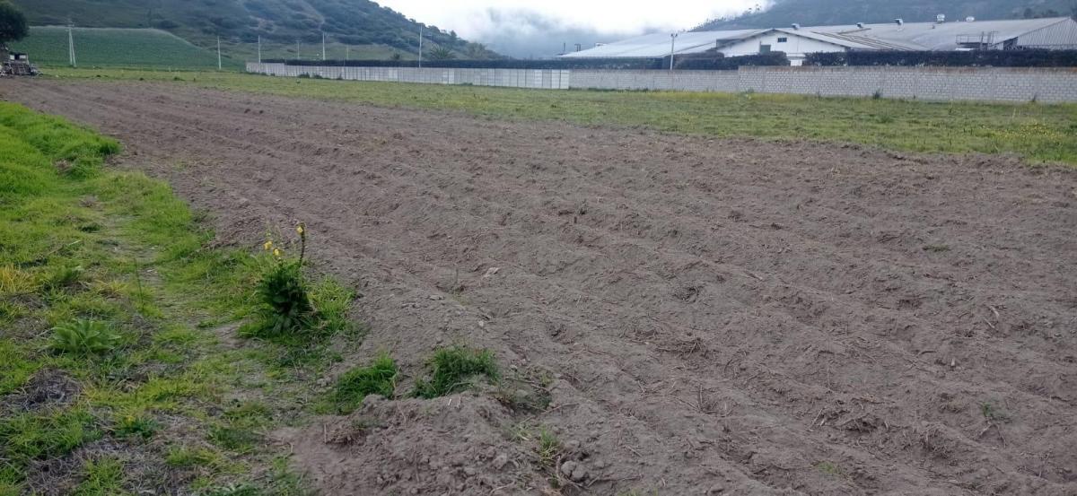 Hermoso Terreno en Venta Totalmente Plano en Calacali Industrial — imagen 3