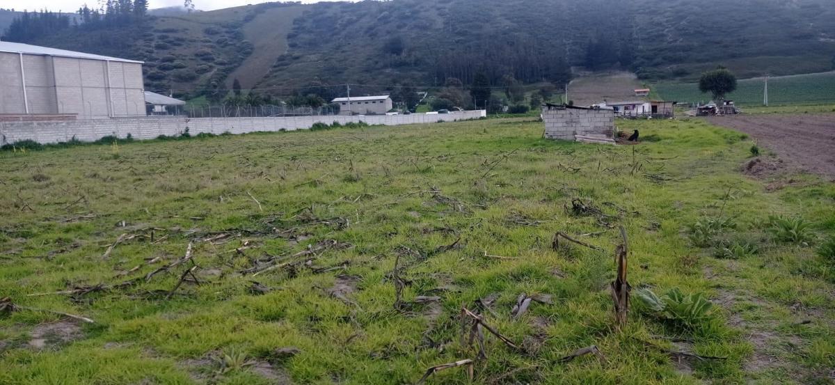Hermoso Terreno en Venta Totalmente Plano en Calacali Industrial — imagen 2