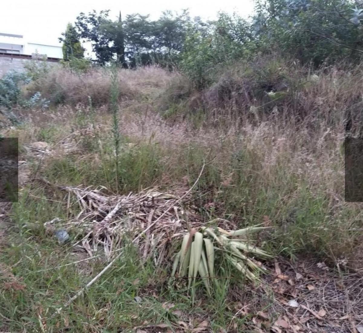 Terreno - Nayón — imagen 7