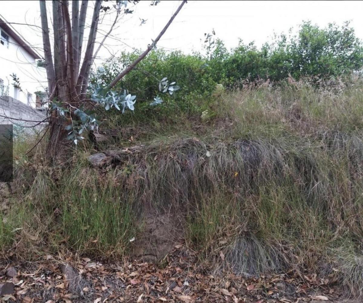 Terreno - Nayón — imagen 6