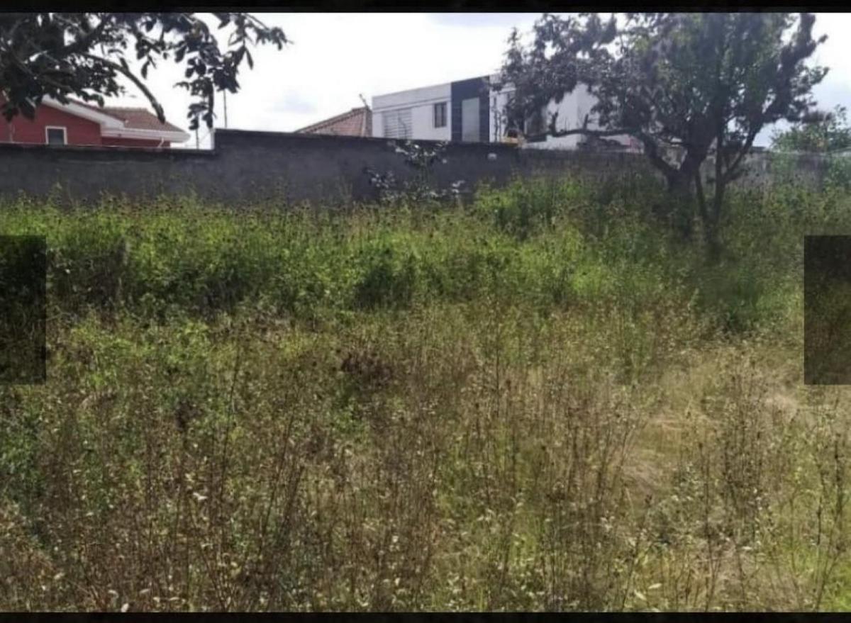 Terreno - Nayón — imagen 2