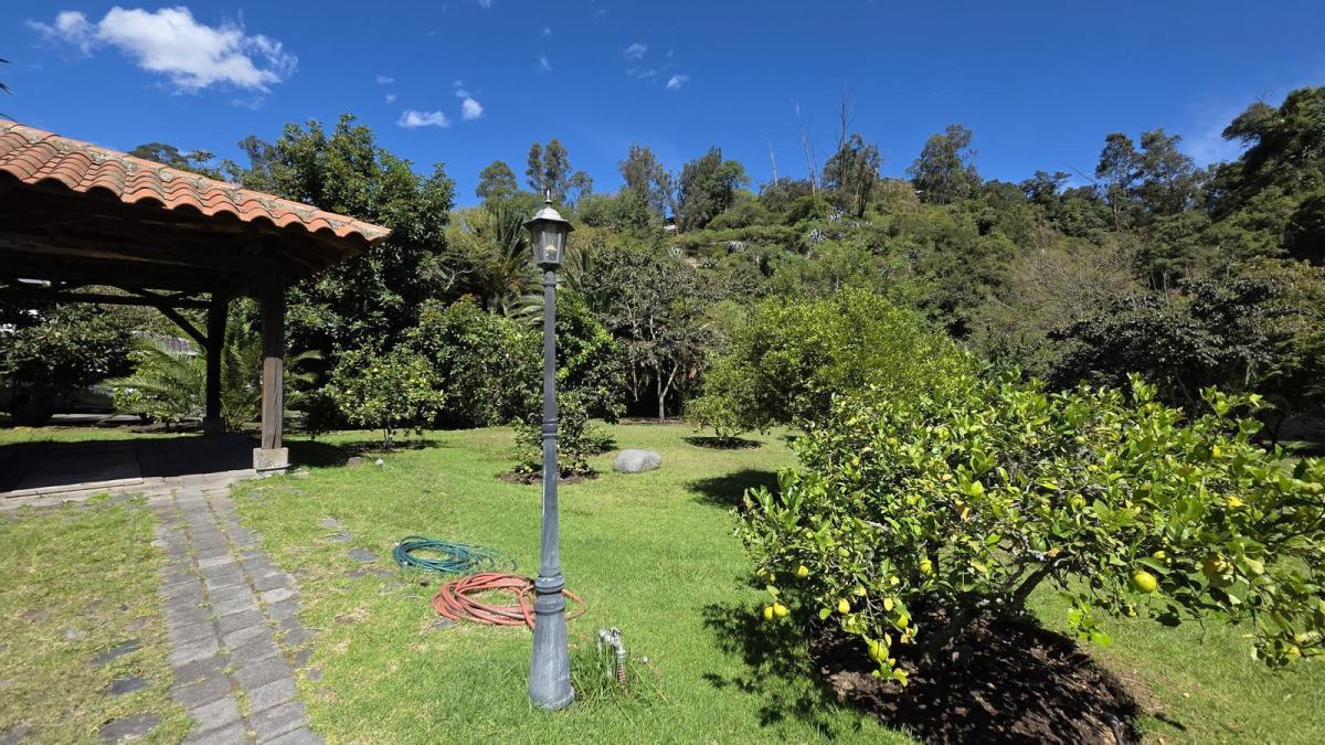 Casa con Amplio Terreno en Cumbayá — imagen 8