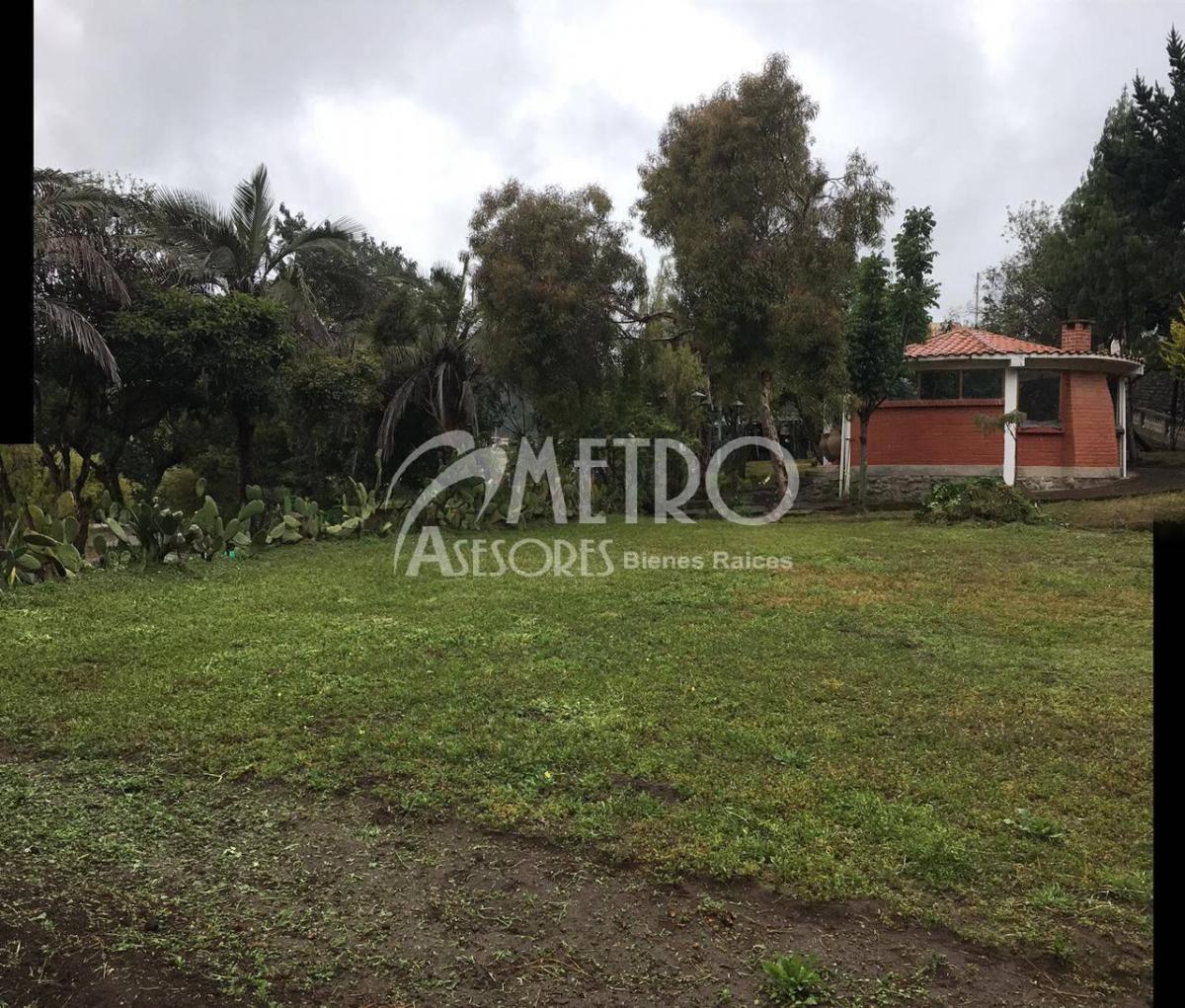 Terreno Esquinero en Venta 3.736 m² en Cangahua - Cayambe — imagen 10