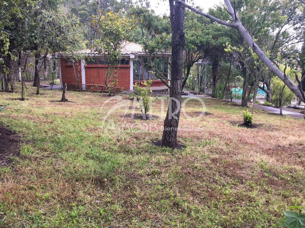 Terreno Esquinero en Venta 3.736 m² en Cangahua - Cayambe — imagen 8