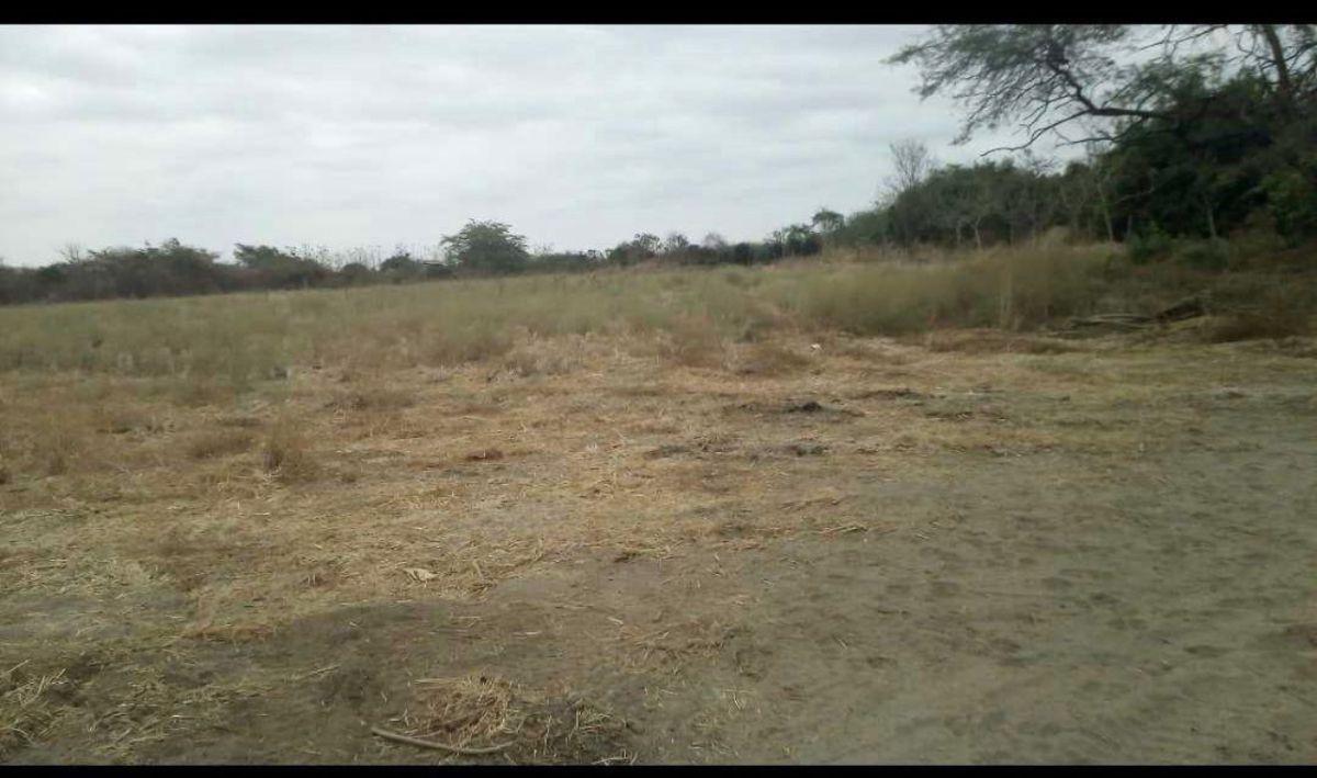 Venta de 120.000 m² en La Vía Los Lojas, Se Ingresa Desde La Via Salitre, Km 12 por Via Asfaltada. Guayas — imagen 3