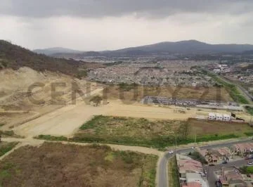 Venta Terreno Estratégico en La Aurora, 1 Hectárea Ideal Para Desarrollo J. Gar, Guayas — imagen 5