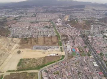 Venta Terreno Estratégico en La Aurora, 1 Hectárea Ideal Para Desarrollo J. Gar, Guayas — imagen 3