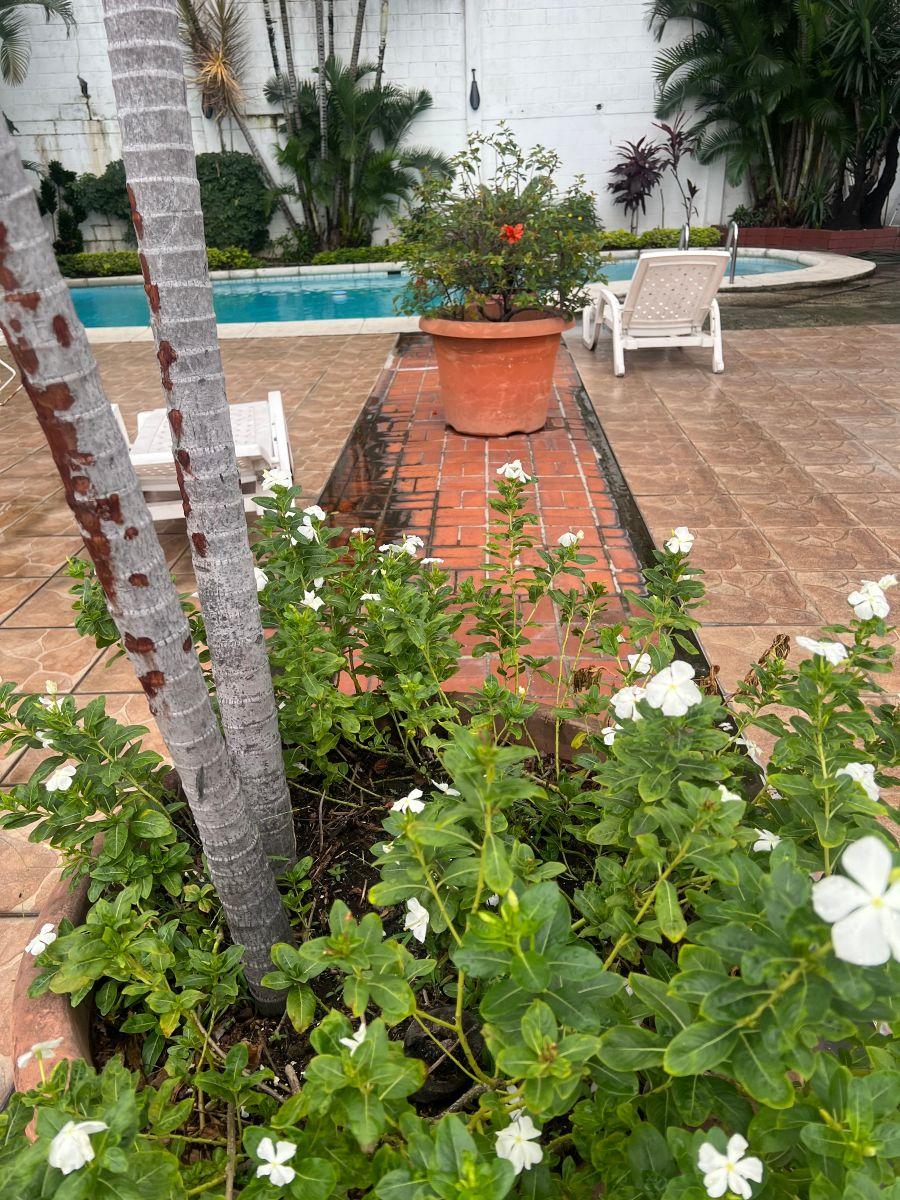 Vendo en Lomas de Urdesa, Lindo Departamento con Vista a Guayaquil, Guayas — imagen 10