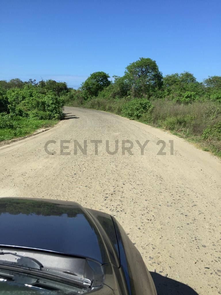 Vendo 2 Has Frente a La Playa de San Jose - Montecristi, Manabí — imagen 6