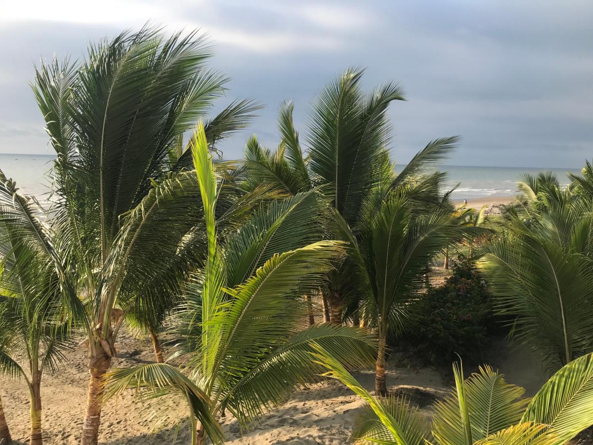 Terreno de Venta en Punta Don Juan, Manabi, Manabí — imagen 4
