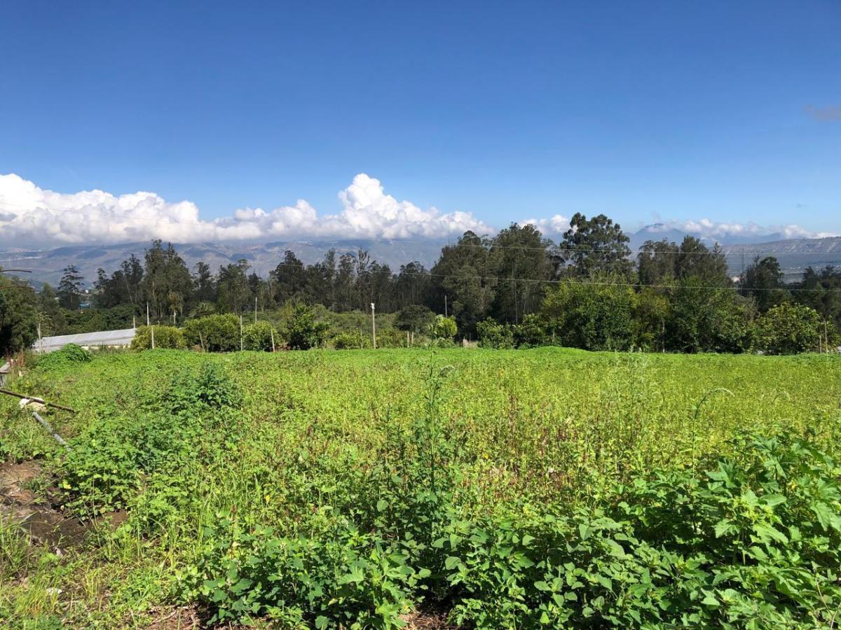 Vendo en Guaylabamba 412 m² Credito Directo — imagen 10